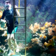 Illustration for article titled A 10,000 Gallon Fish Tank Seems Like Too Much Work